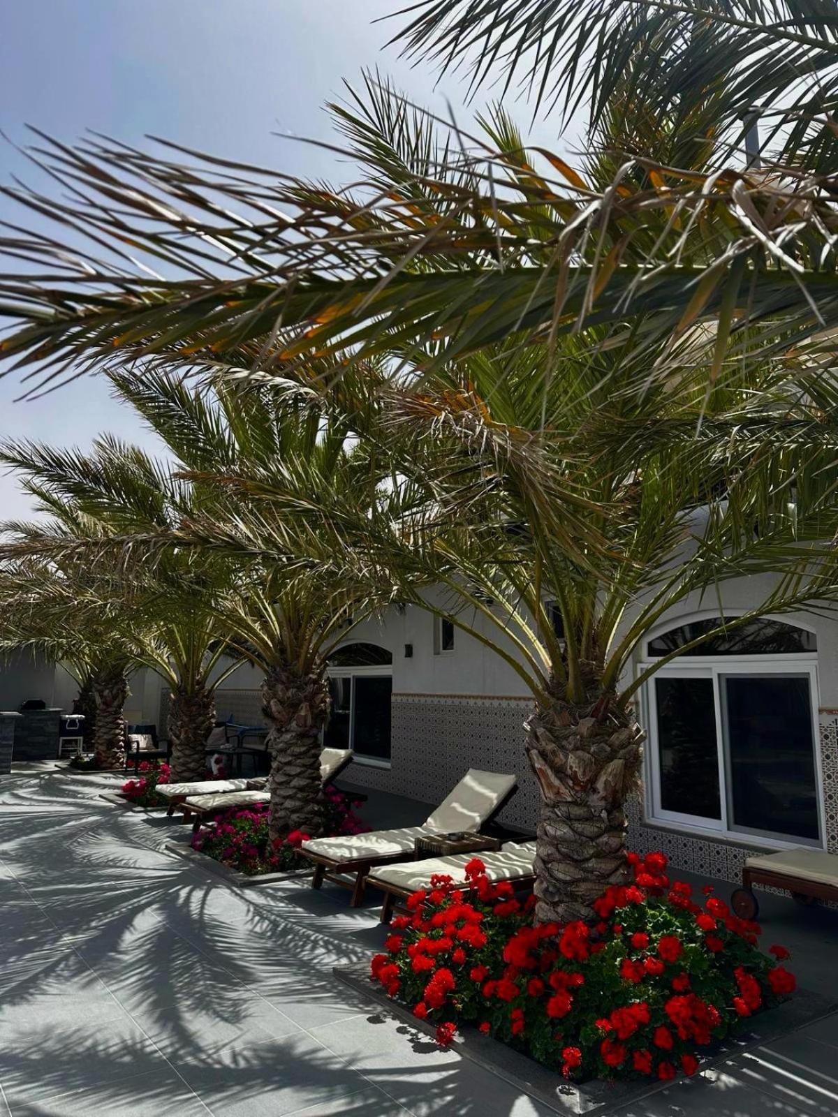 Golden Rays Chalet Мадаба Экстерьер фото